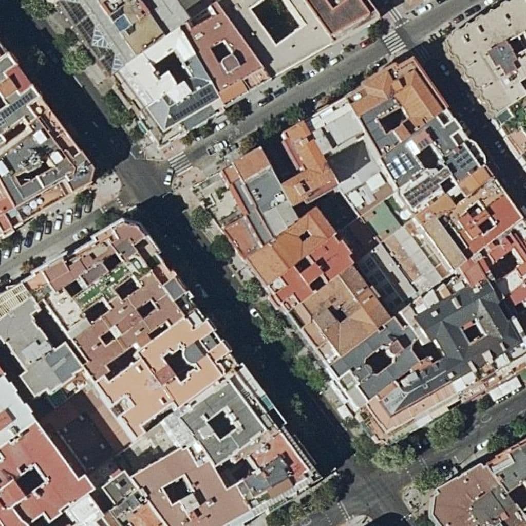 Aerial view of the grounds of Alicia