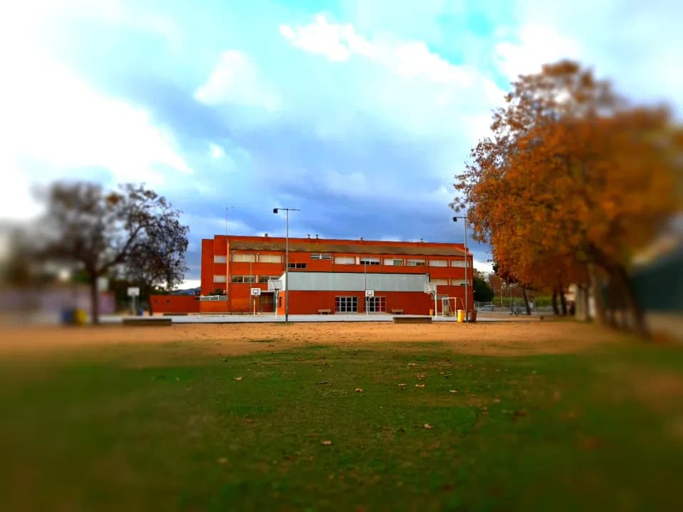 Escola Napoleó Soliva