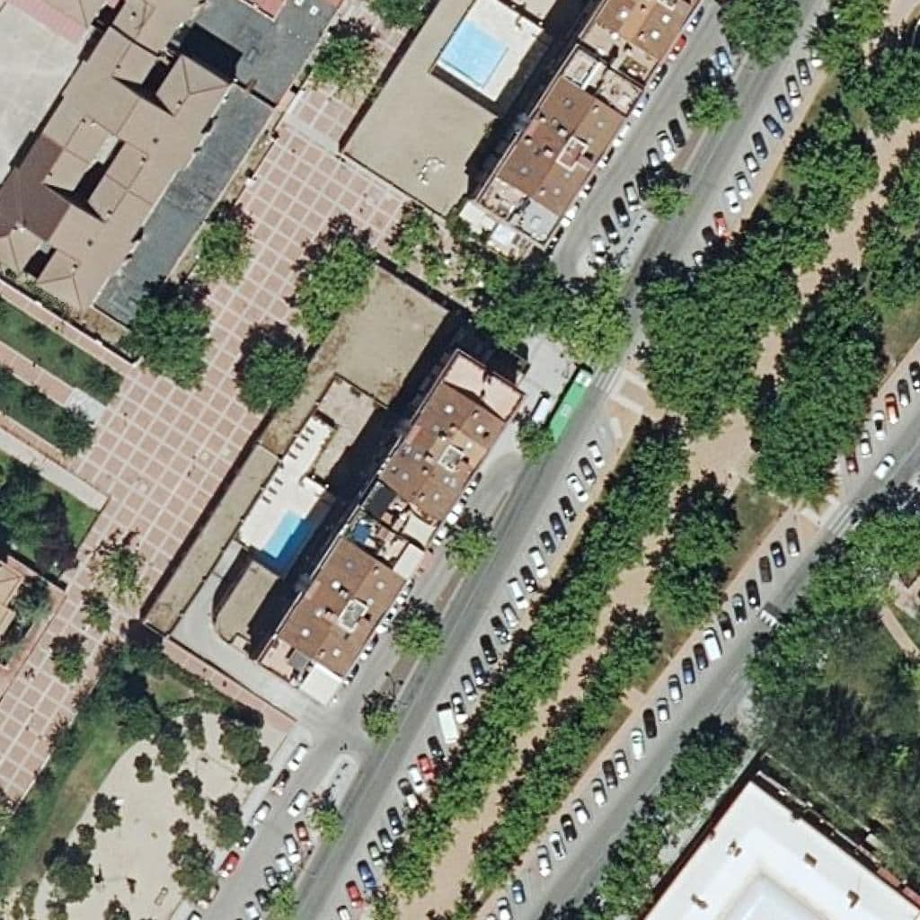 Вид сверху на территорию школы «La Oca Loca»