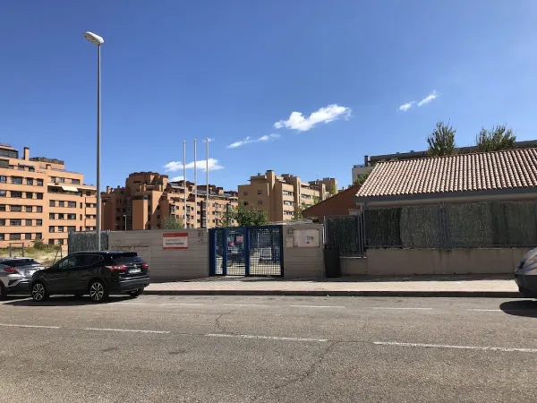 Palmas Palmitas