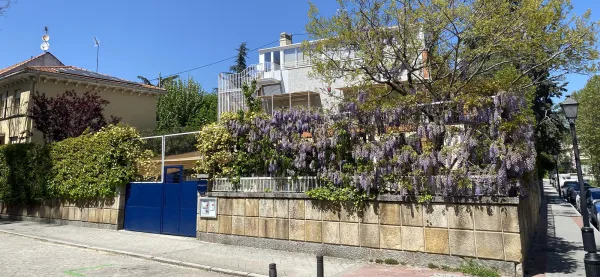 Madrid Montessori School (Ee.uu.)