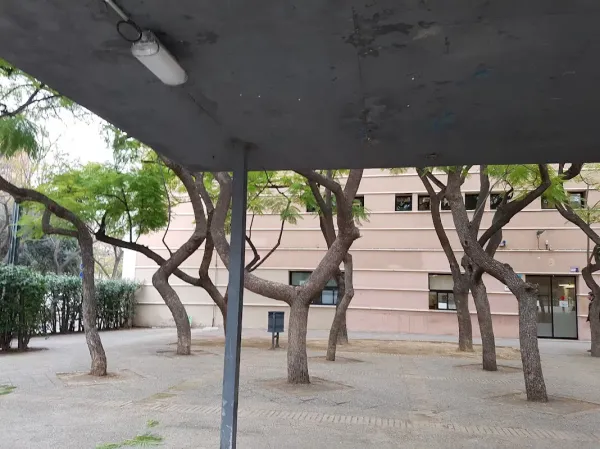 Cee Pont Del Dragó