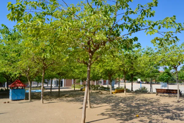Escola Pax