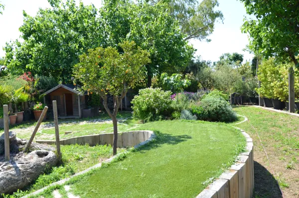 Photo 10