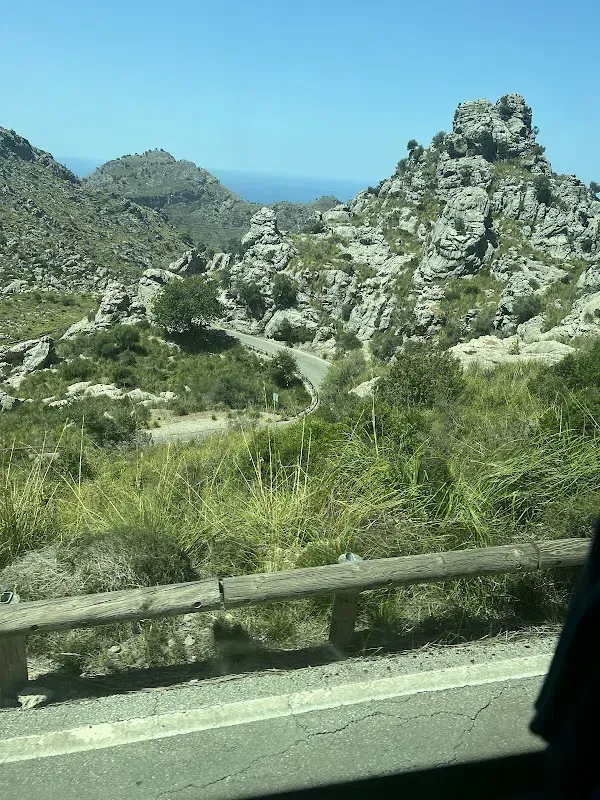L'escorça