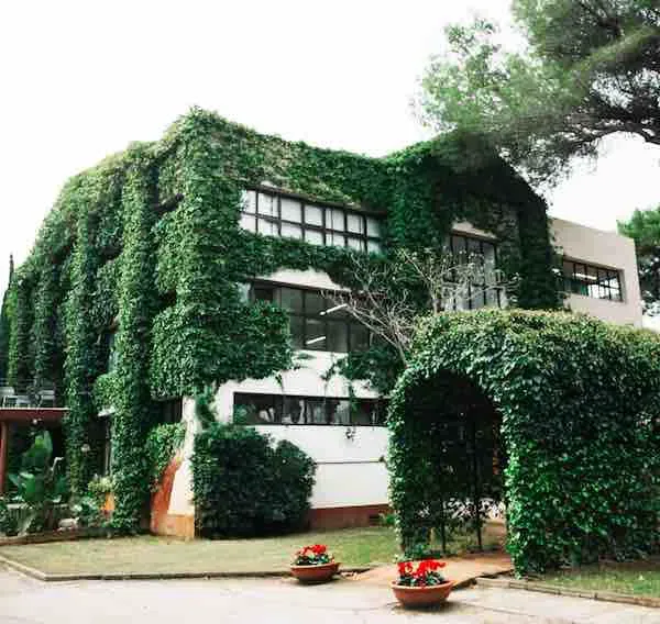 The British College Of Gavà
