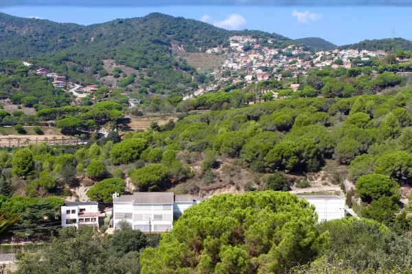 Santa María Del Pino