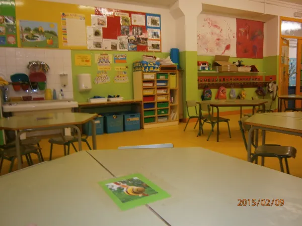 Photo 5