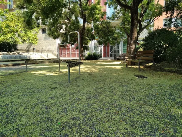 Escola Annexa - Joan Puigbert