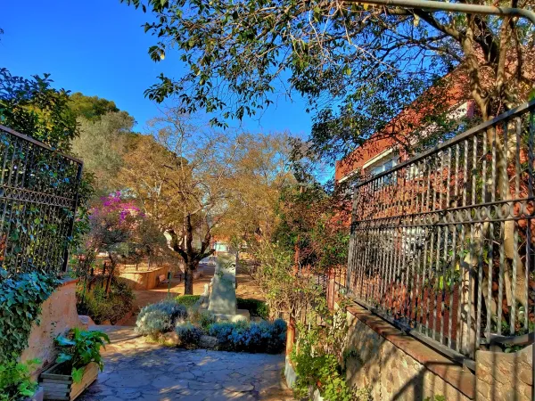 Institut Bosc De Montjuïc