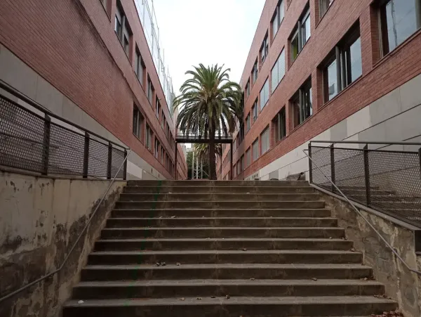 Institut L'alzina