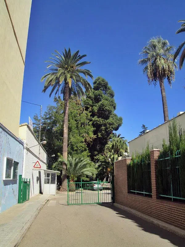 Centre Privat Santa Ana