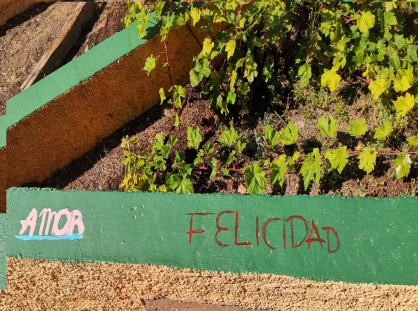 CEIP ALCALDE RAMÍREZ BETHENCOURT