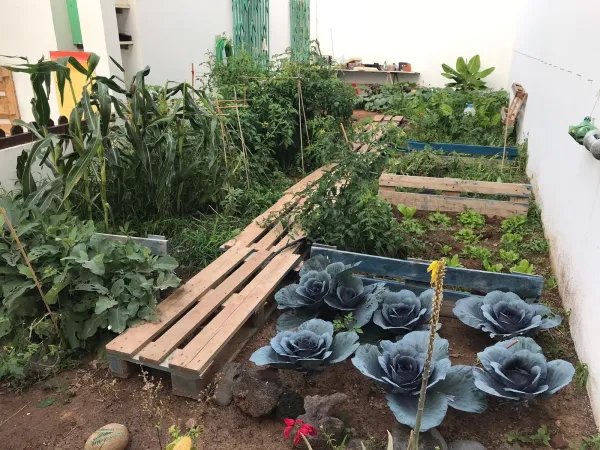 CEIP LAJARES