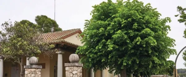 Escola Els Til·lers - ZER El Francolí