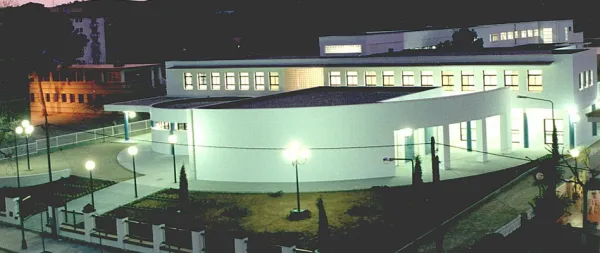 Institut Manuel Sales i Ferré