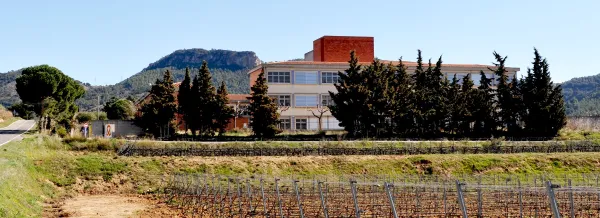 Institut Priorat