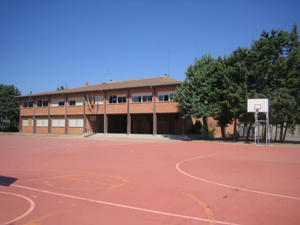CRA EUSEBIA PALOMINO
