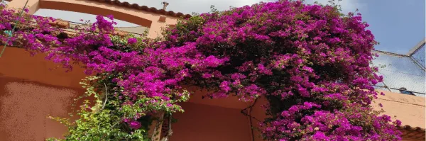 Фото 6