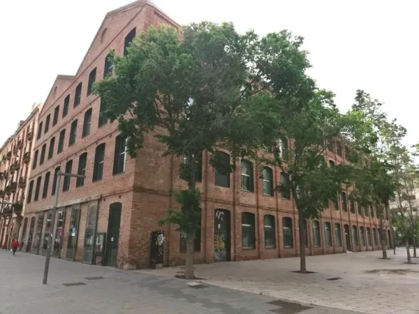 Institut Joncar