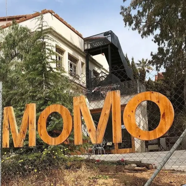 Momo Escola Viva