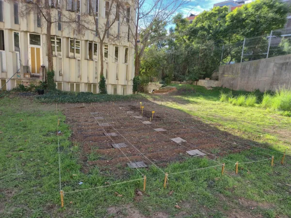Institut Margarida Xirgu