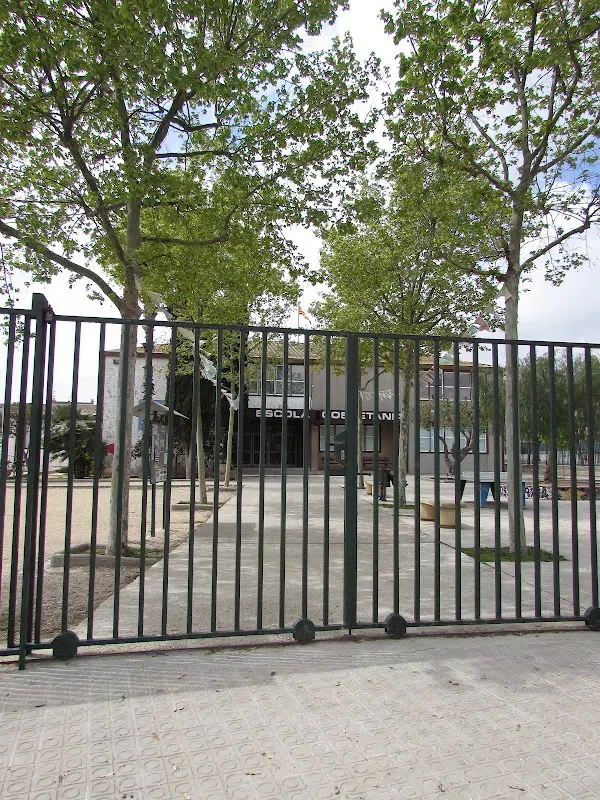 Escola Cossetània
