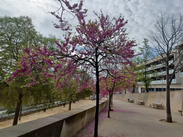 Institut La Riera