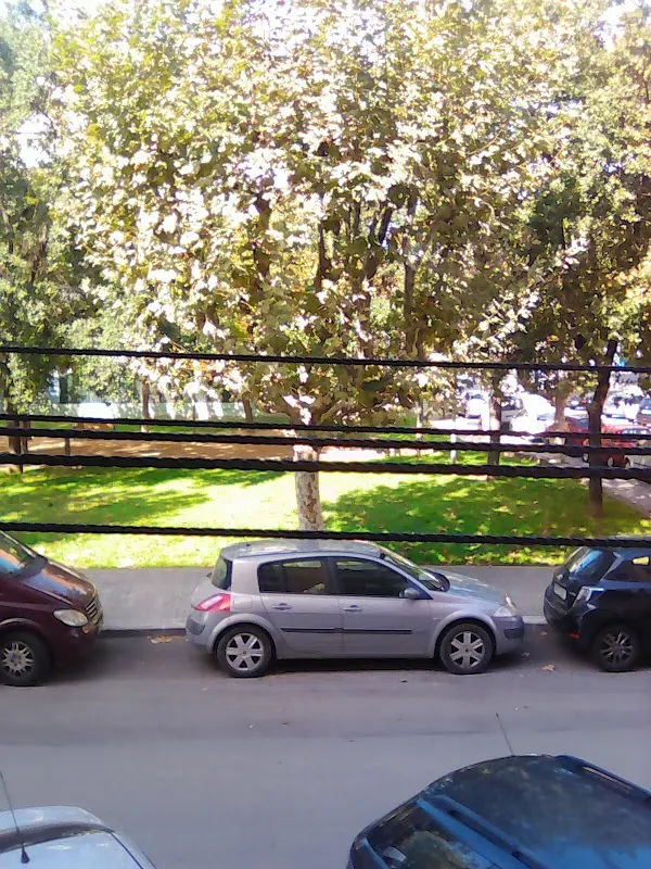 Cfa Marinada