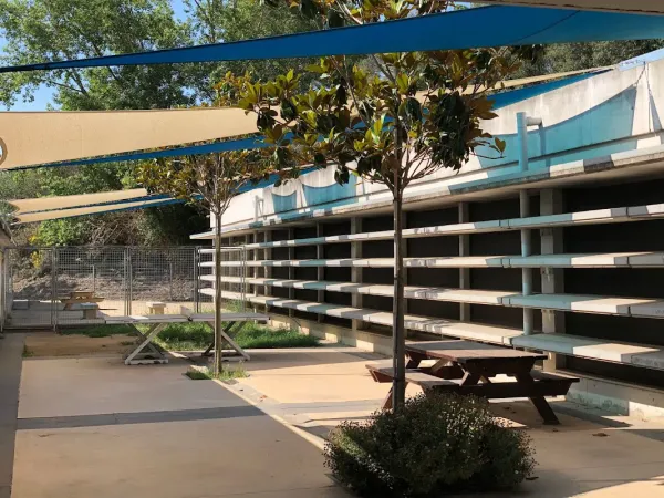 Institut Polinyà