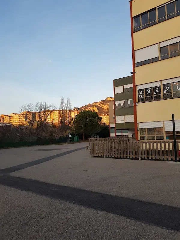 Fedac-Xarxa