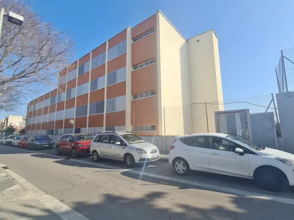 Institut Alexandre Satorras