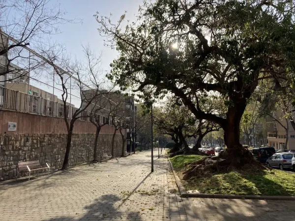 Escola Marinada