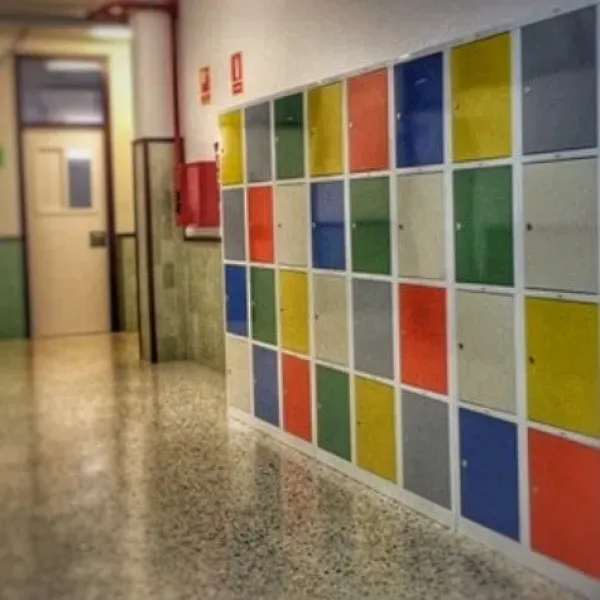 Institut La Sureda
