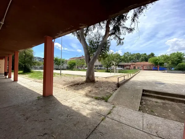 Institut Vicenç Plantada