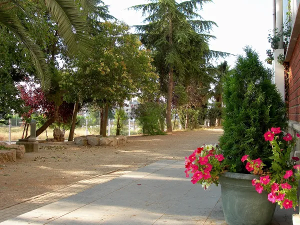 Photo 6