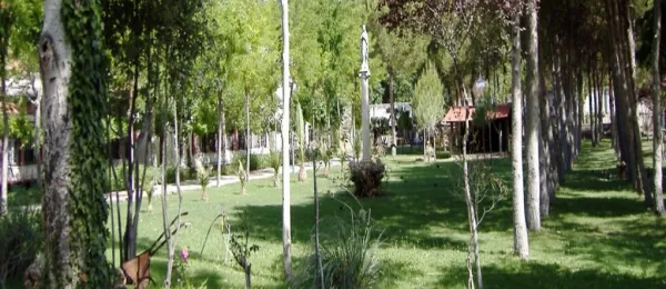 Photo 6