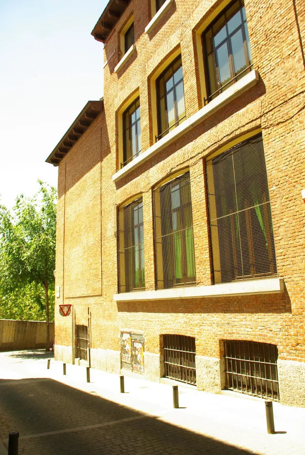 Photo 5
