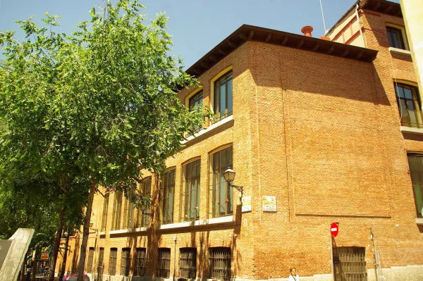 Photo 6