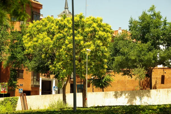 Photo 7