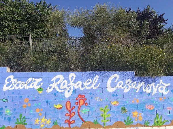 Фото 6