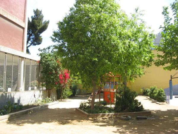 Photo 4