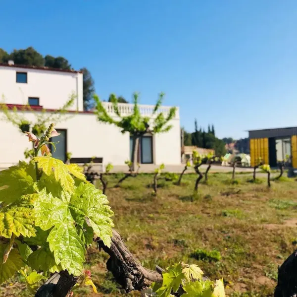 Montessori Subirats - Casa De La Vinya