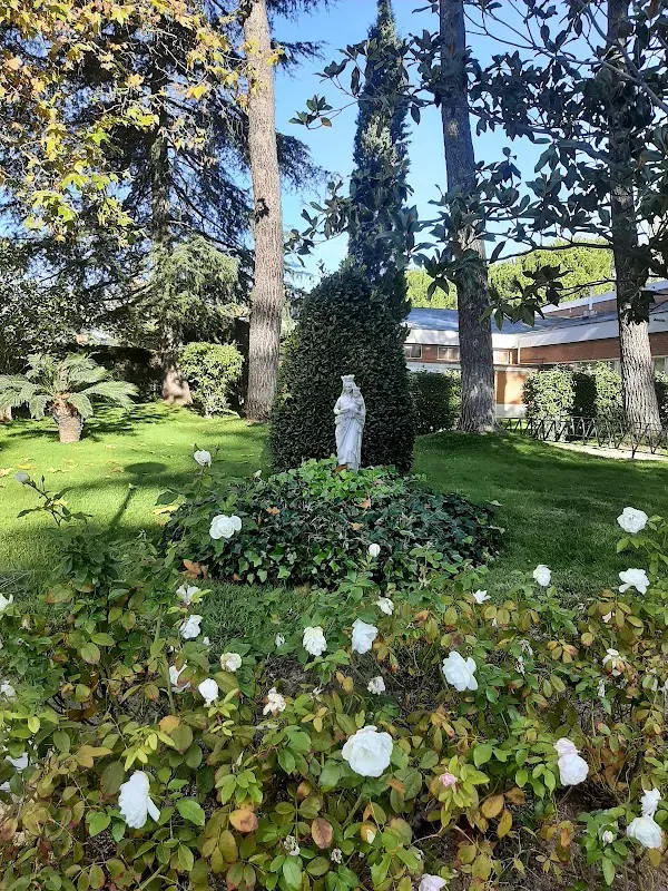 Mater Salvatoris