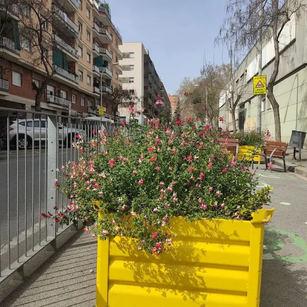 Escola Bressol Ciutat De Mallorca