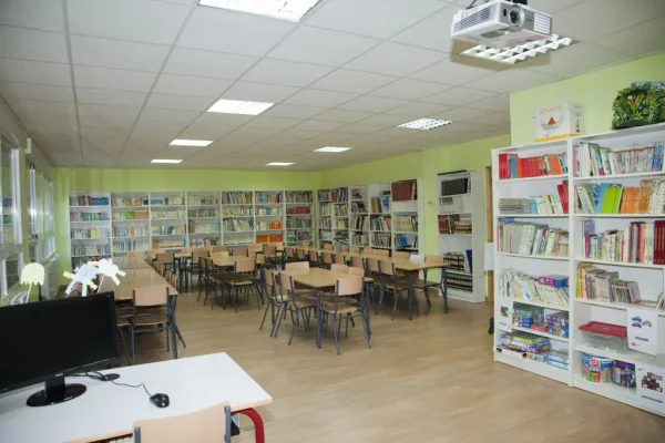 Photo 5