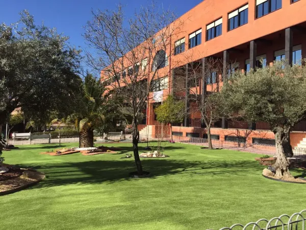 Los Naranjos