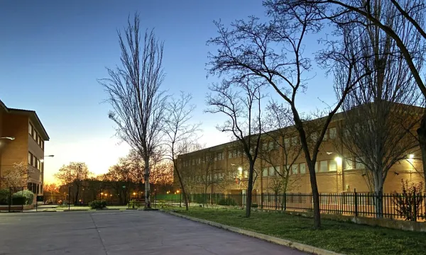 Photo 5
