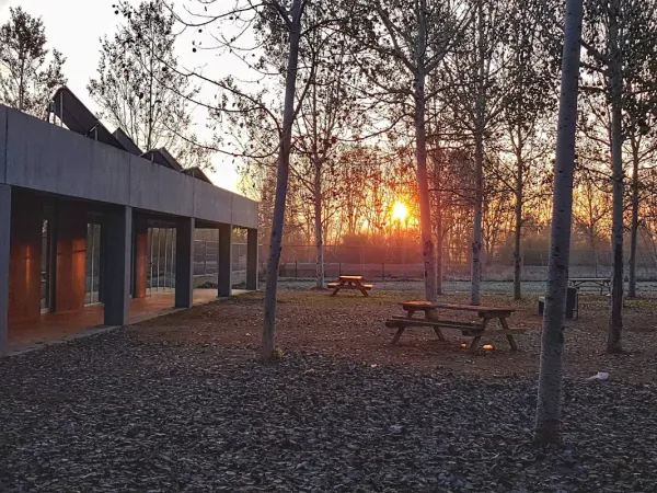 Institut La Plana