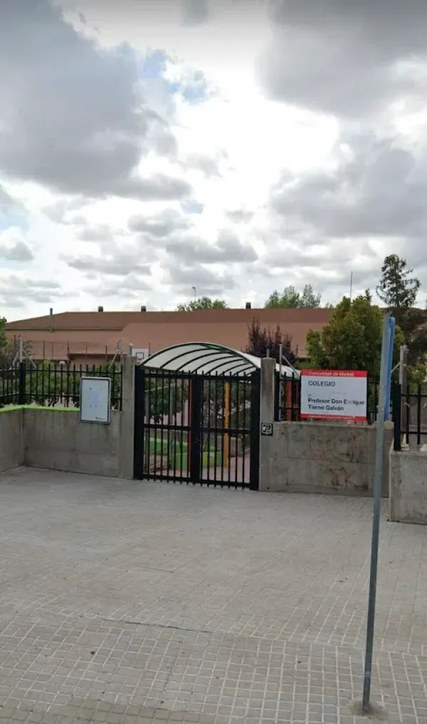 Profesor Don Enrique Tierno Galvan